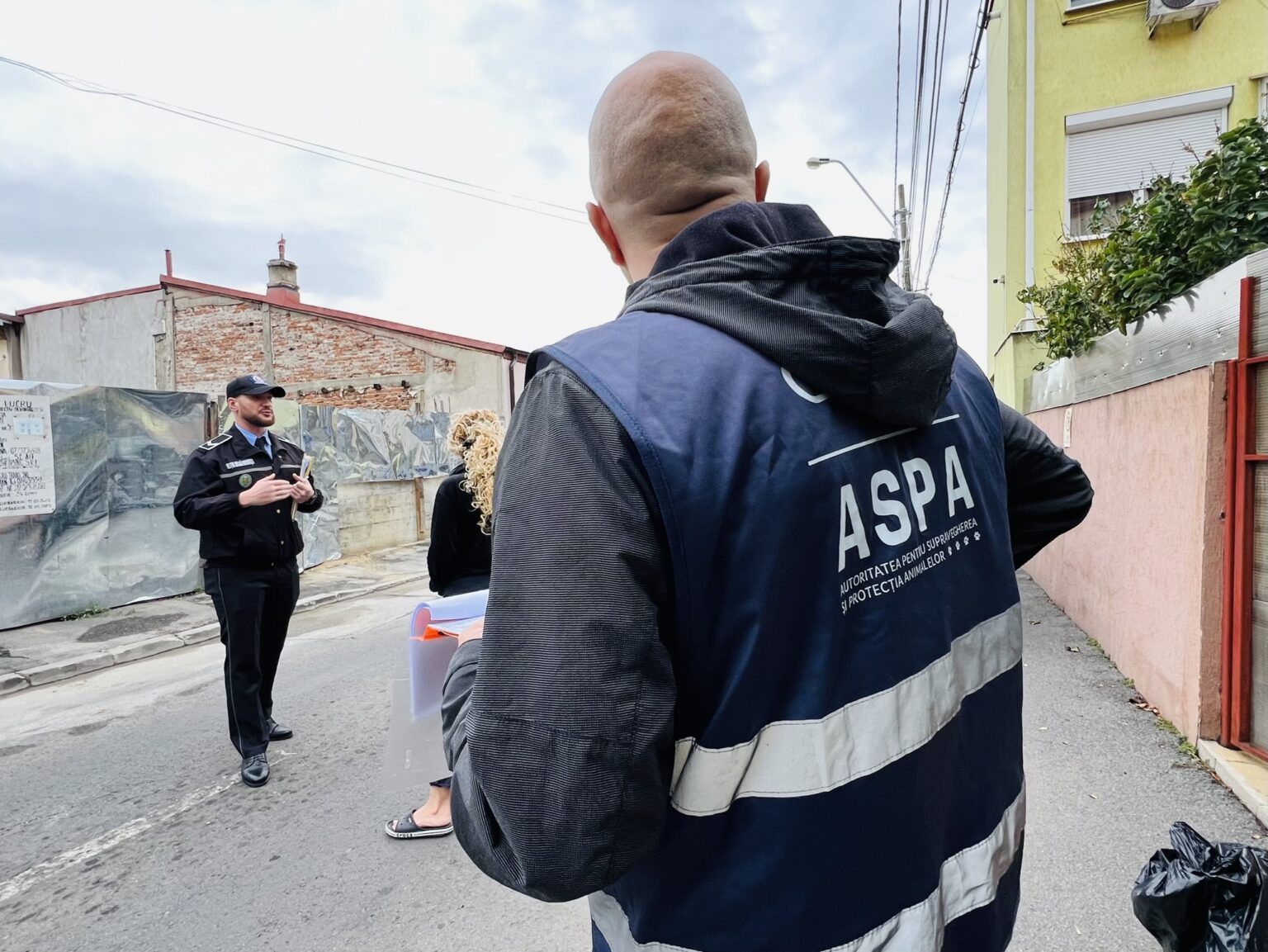 aspa bucuresti ultima actiune din an privind verificarea detinerii legale a cainilor in sectorul 5 693c118c17b7e