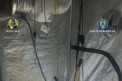 barbat de 34 de ani din ilfov cercetat pentru trafic de droguri de risc 6931c020b68fe