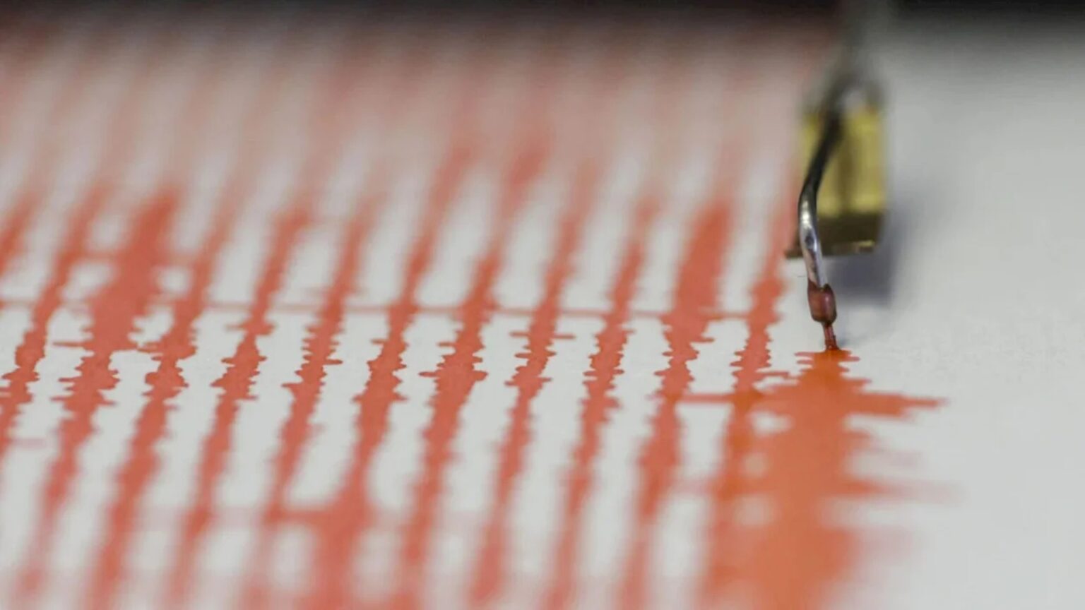 breaking cutremur in ilfov la 11 km de bucuresti institutul national pentru fizica pamantului anunta magnitudinea 695129e1295c6