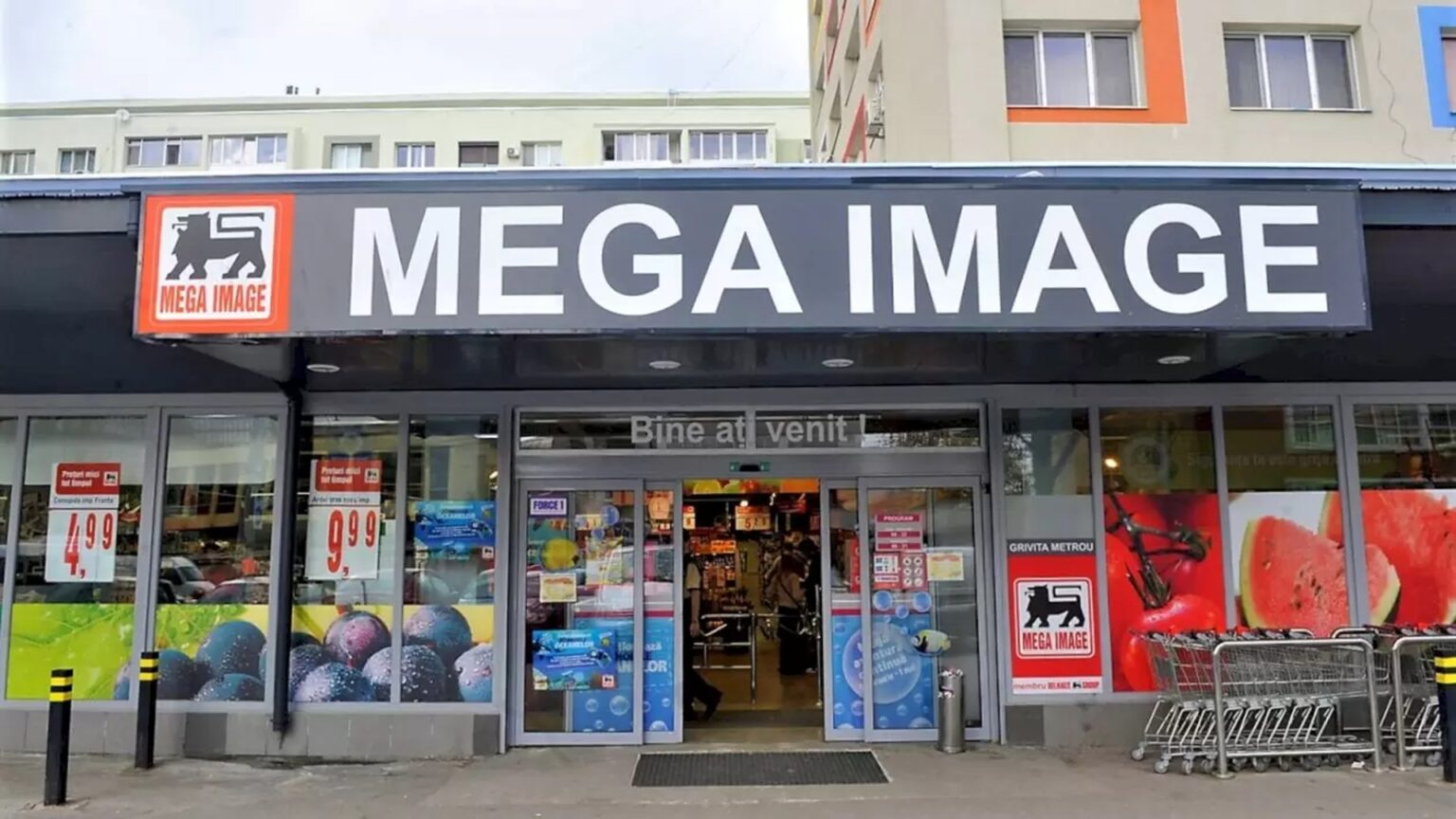 ce program au magazinele mega image de craciun si revelion f09f9b92 angajatii din bucuresti si din tara au doua zile libere 694bf356acf37