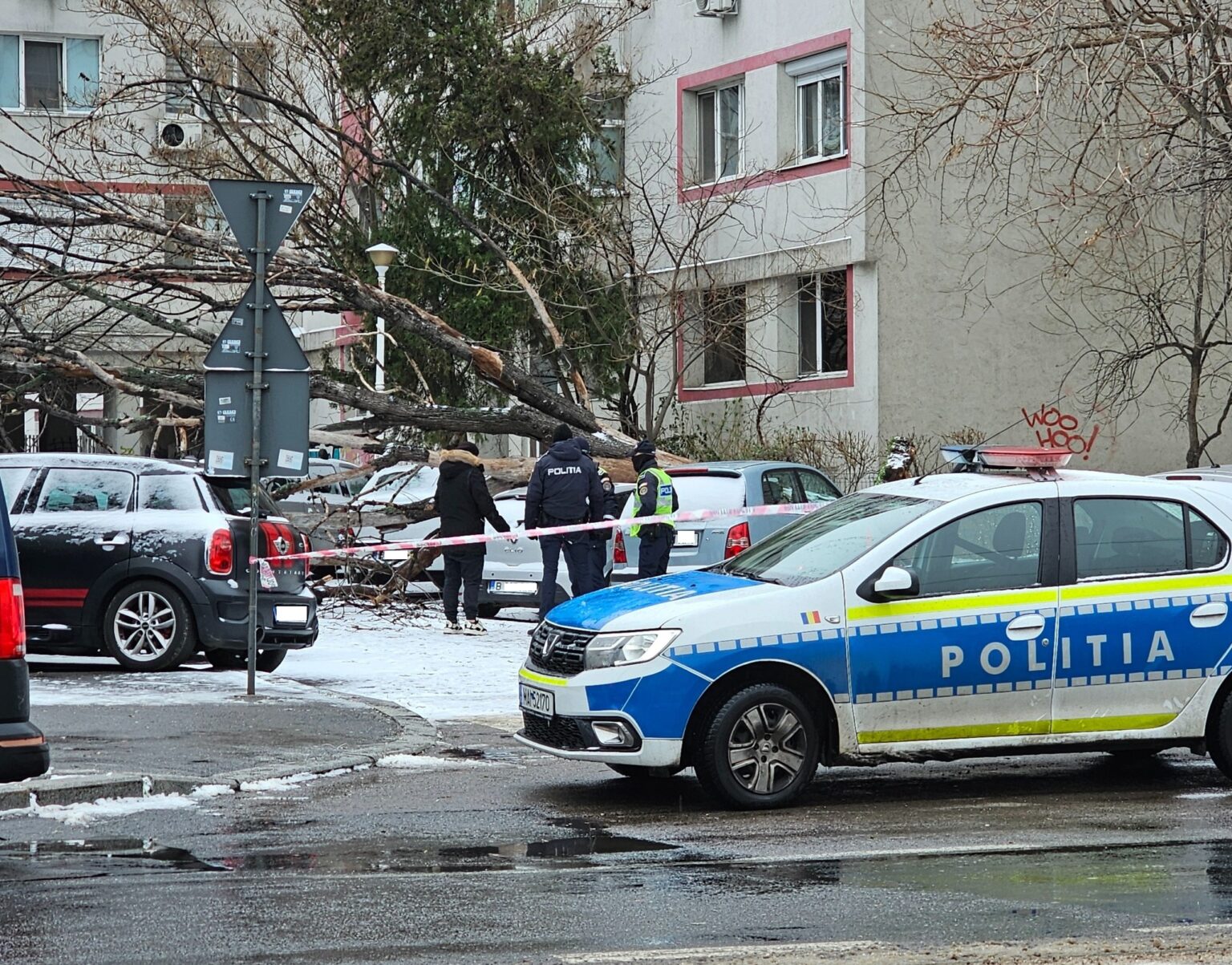 copac cazut in ziua de ajun intr o parcare de pe bd dinicu golescu o masina a fost avariata 694d3474dcc56