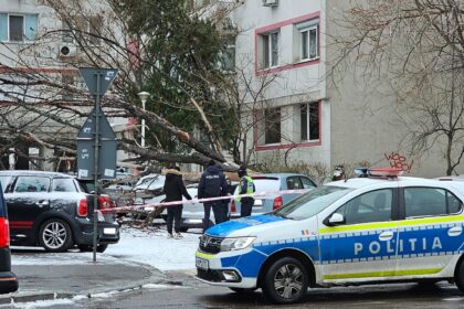 copac cazut in ziua de ajun intr o parcare de pe bd dinicu golescu o masina a fost avariata 694d3474dcc56