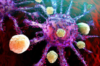 cum reuseste cancerul de piele sa pacaleasca sistemul imunitar experimentul care da sperante medicilor 6954b8edea15f