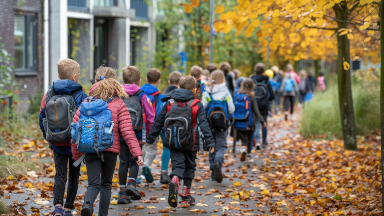 daniel david a semnat ordinul privind temele pentru acasa ce se schimba pentru elevi si ce interdictii apar 6932fedf24394