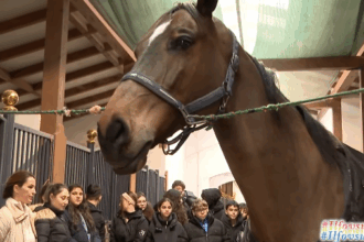 eveniment educativ dedicat copiilor si tinerilor organizat la centrul ecvestru din snagov 69384f54c51a5