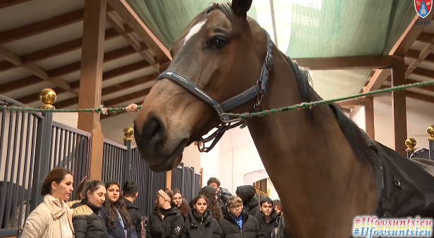 eveniment educativ dedicat copiilor si tinerilor organizat la centrul ecvestru din snagov 69384f54c51a5