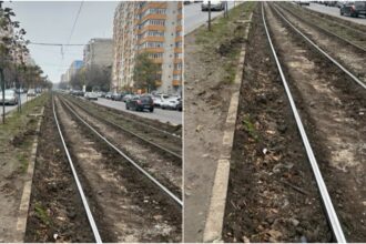 foto a disparut gazonul de pe sinele de tramvai de pe linia 32 rulourile de iarba au provocat mai mule incidente si nu doar pe acest traseu 6930427905581