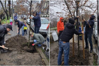 foto bucuresteni din cotroceni au plantat un copac langa parcul romniceanu ca sa atraga atentia primariei s5 si pmb ca locul are mare nevoie urgenta de reabilitare 692e9bb20cd1b