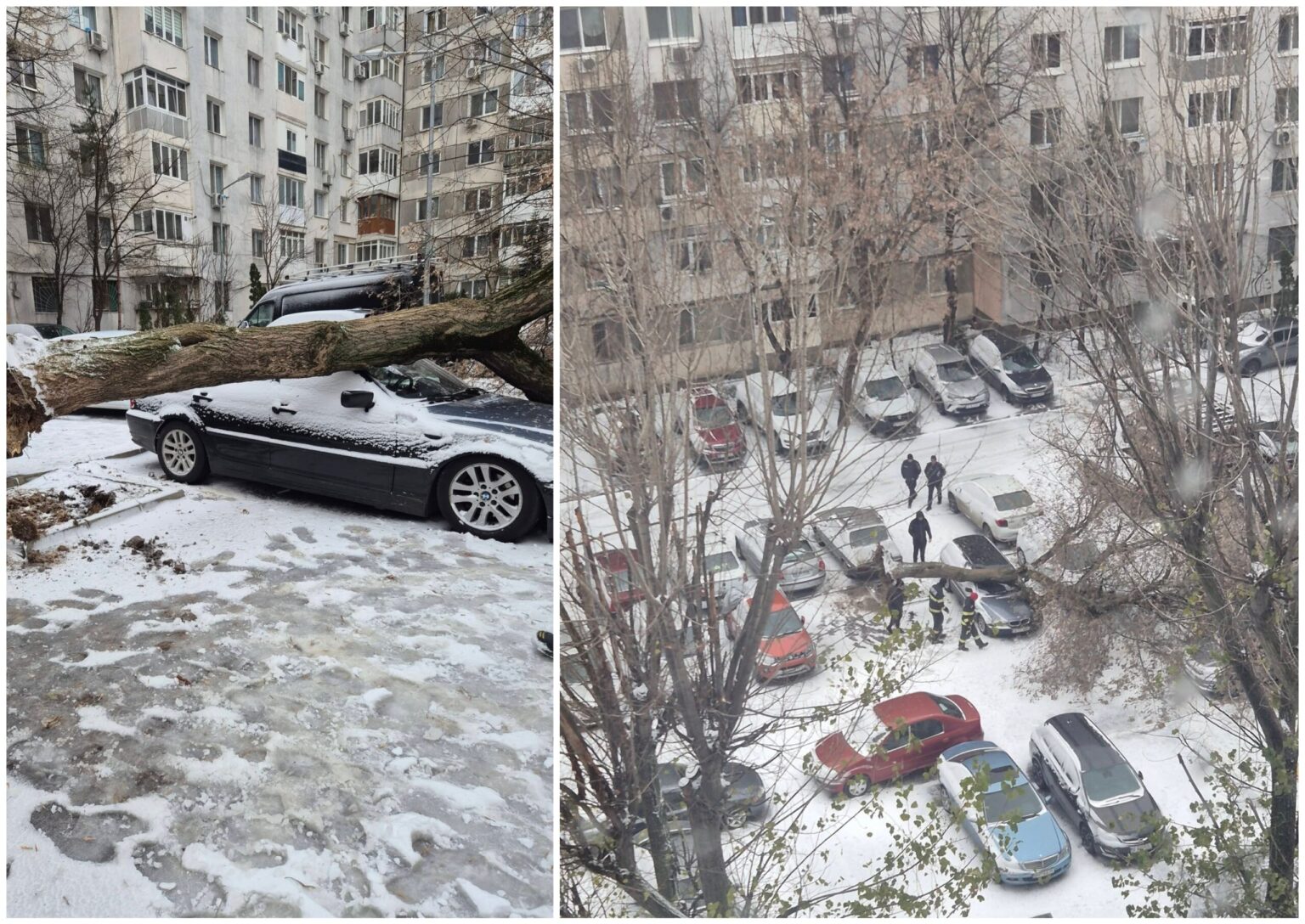 foto dimineata infernala pentru un bucurestean din s4 un copac imens s a prabusit peste masina din parcarea de la bloc in conditii meteo de fulguiala 694cfad54c84d