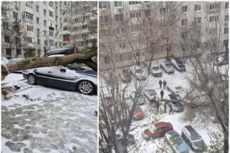 foto dimineata infernala pentru un bucurestean din s4 un copac imens s a prabusit peste masina din parcarea de la bloc in conditii meteo de fulguiala 694cfad54c84d