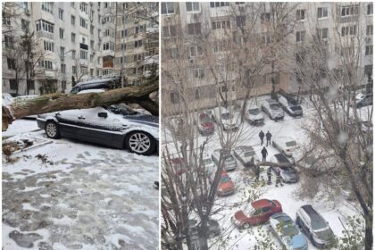 foto dimineata infernala pentru un bucurestean din s4 un copac imens s a prabusit peste masina din parcarea de la bloc in conditii meteo de fulguiala 694cfad54c84d
