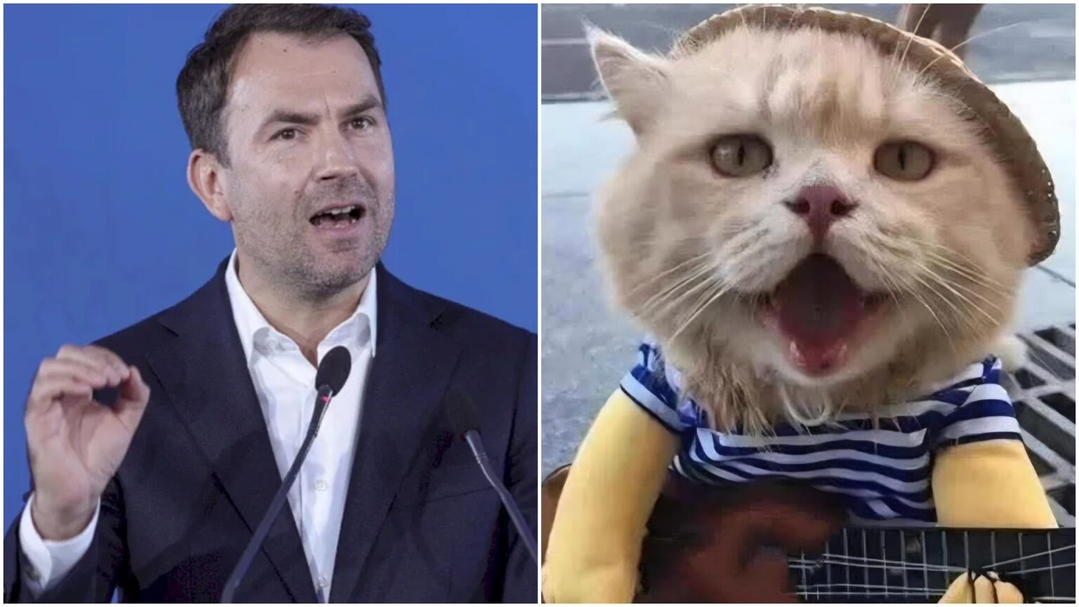 foto drula a pierdut grav alegerile de ieri dar azi e campion la meme olympics 6936a0d3289a4