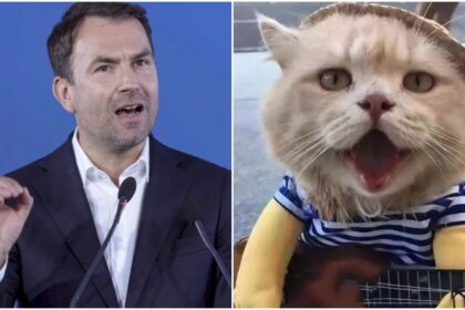 foto drula a pierdut grav alegerile de ieri dar azi e campion la meme olympics 6936a0d3289a4