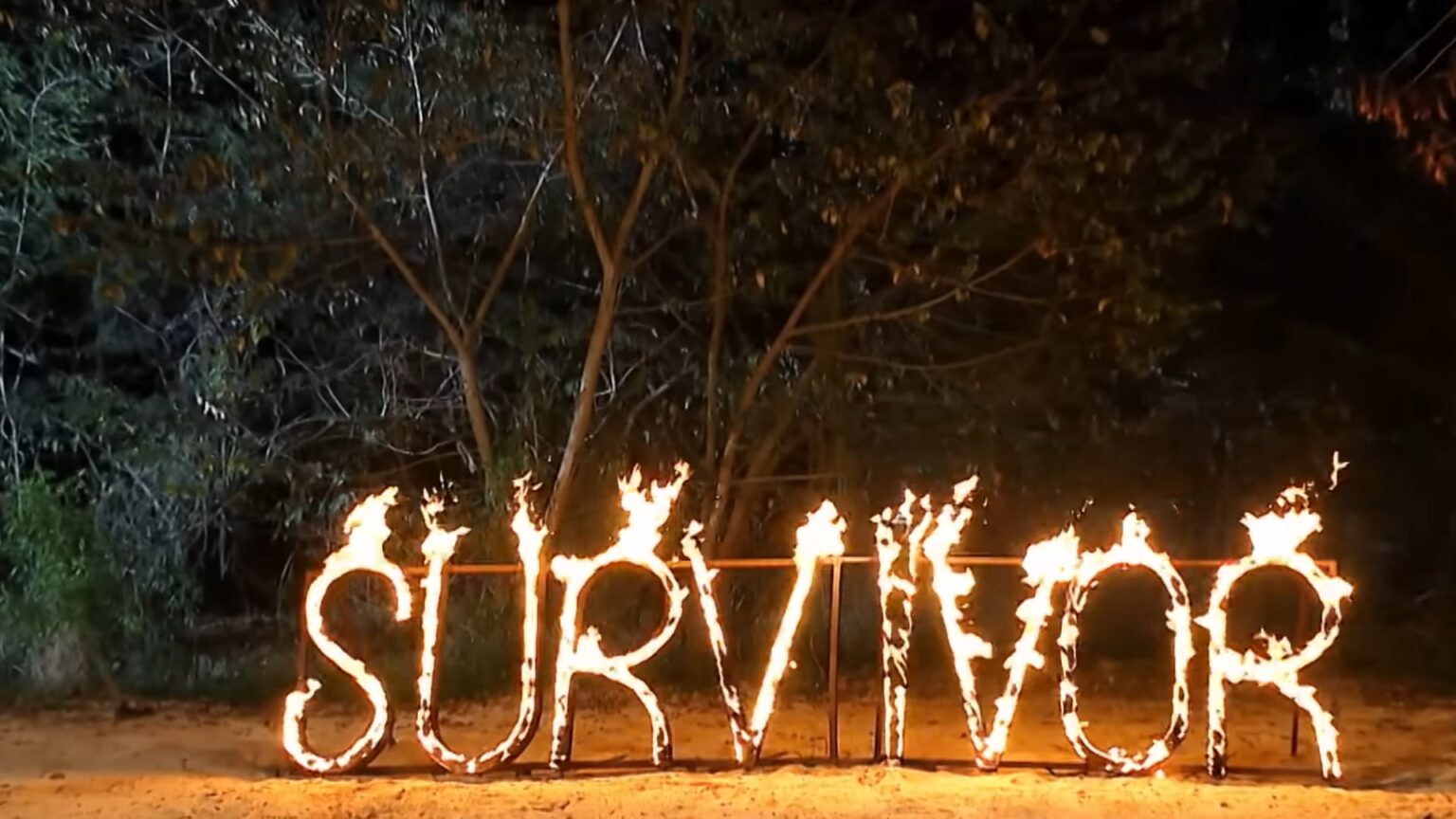 foto surprizele survivor romania gabi tamas cristian boureanu si fiul andreei esca printre faimosii care intra in concurs cand incepe emisiunea 694147f7b707a