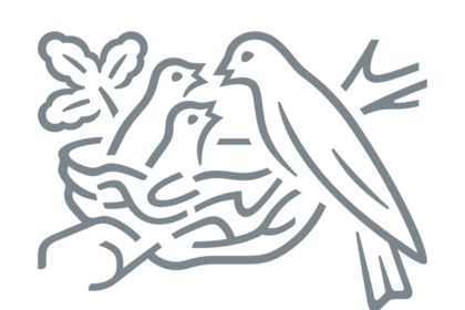 nestle romania retrage de la comercializare mai multe loturi de lapte praf 693d27164b1fc