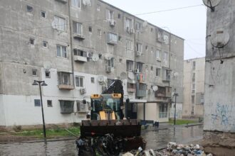 primaria sectorului 5 a intervenit de dimineata pentru salubrizarea aleii livezilor 69416c67cf907