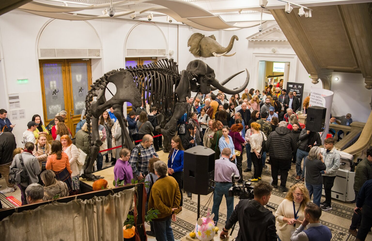 program special de vizitare la muzeul antipa intre 30 decembrie 2025 si 7 ianuarie 2026 69523b7816675