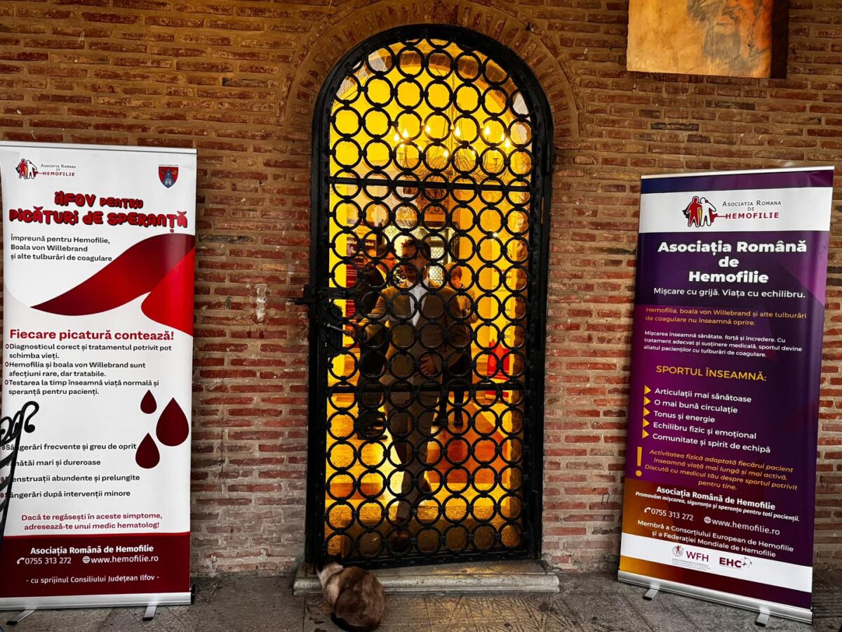 retrospectiva 2025 sprijin pentru pacientii cu hemofilie prin programul ilfov pentru picaturi de speranta 6942914f6c95e