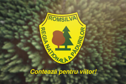 romsilva a investit in acest an 289 de milioane lei in drumuri forestiere depozite si utilaje moderne 694e4e0374c2d