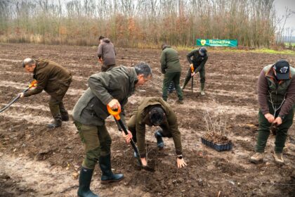 romsilva va planta aproximativ 28 milioane de puieti forestieri in campania de impaduriri de toamna 693944623ae64