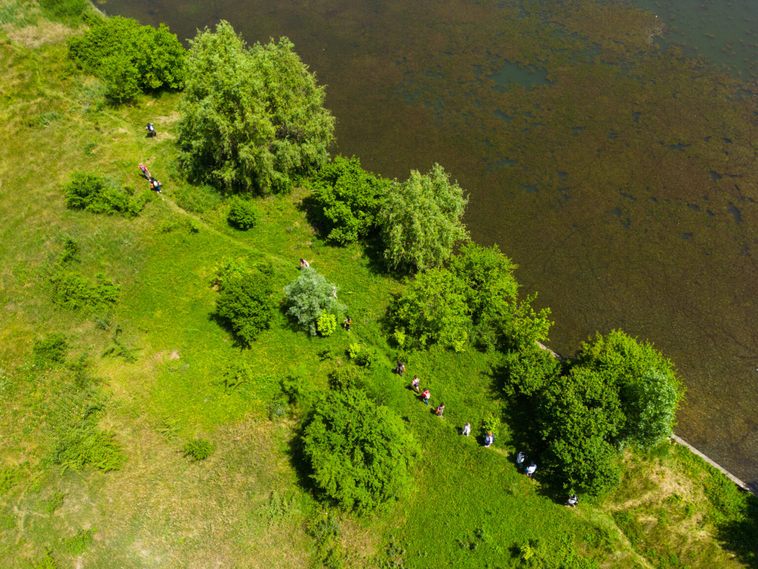 societatea civila cere candidatilor la primaria capitalei asumarea a noua prioritati esentiale pentru un bucuresti cu un mediu sanatos 6931716567b02