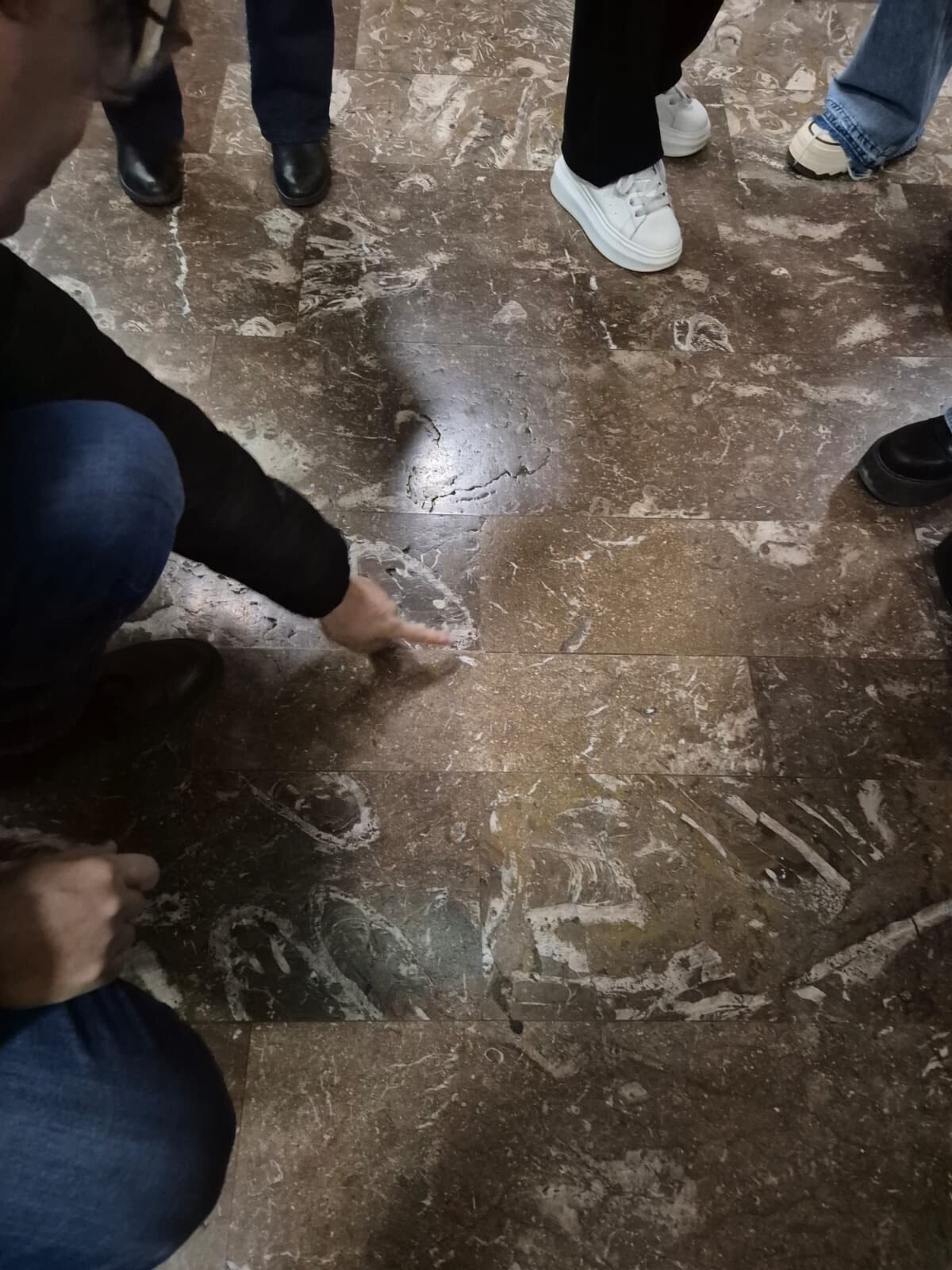 studentii din cadrul facultatii de geologie si geofizica au studiat peronul statiei de metroul politehnica unic in lume 693d0fbbe257b