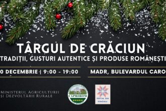 targul de craciun la madr traditii gusturi autentice si produse romanesti 694152cf2ba20