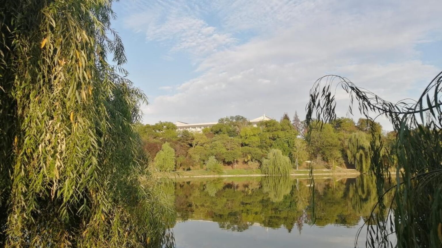 tur ghidat in parcul tineretului in acest weekend bucurestenii vor discuta si cauta solutii pentru traiul pasarilor din parc in sezonul rece 69381ca40b1fa