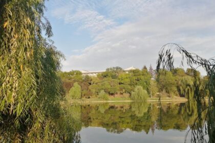 tur ghidat in parcul tineretului in acest weekend bucurestenii vor discuta si cauta solutii pentru traiul pasarilor din parc in sezonul rece 69381ca40b1fa