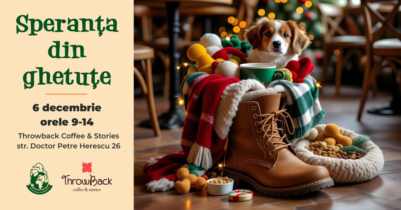 vedete si catei in cotroceni speranta din ghetute va asteapta dupa seara de mos nicolae 6932e17dcff66