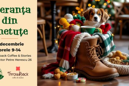 vedete si catei in cotroceni speranta din ghetute va asteapta dupa seara de mos nicolae 6932e17dcff66