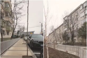 video proiect pilot de modernizare in cartierul baicului din s2 primele rezultate se vad deja iar directia este foarte buna anunta hopinca 694a835dbc3f6