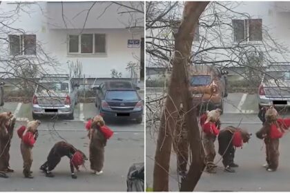 video ursii urbani colindatori au reaparut pe strazile din bucuresti f09f90bb dans costume si cantece care aduc noroc sau nervi inainte de sarbatori 6945399dd65c8