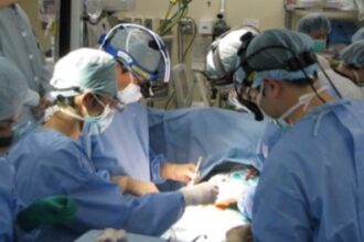 zeci de donatori si aproape 300 de transplanturi in romania de la inceputul anului 692e810db716b