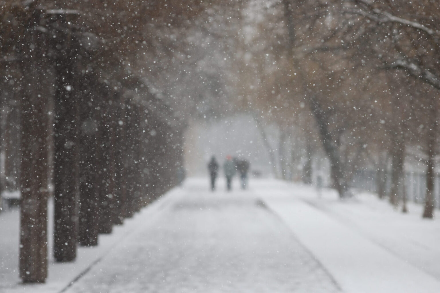 anm vreme deosebit de rece in bucuresti cu ninsori si temperaturi minime de pana la 10 grade in urmatoarele zile 69634fc3eb31c