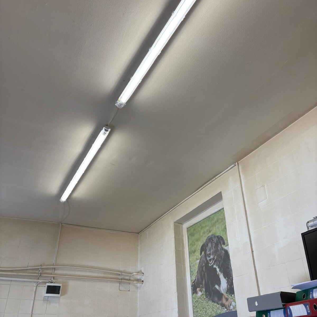 aspa a primit de la parklake shopping center o donatie de 600 de lampi de ilumina 6969cd8e4f059