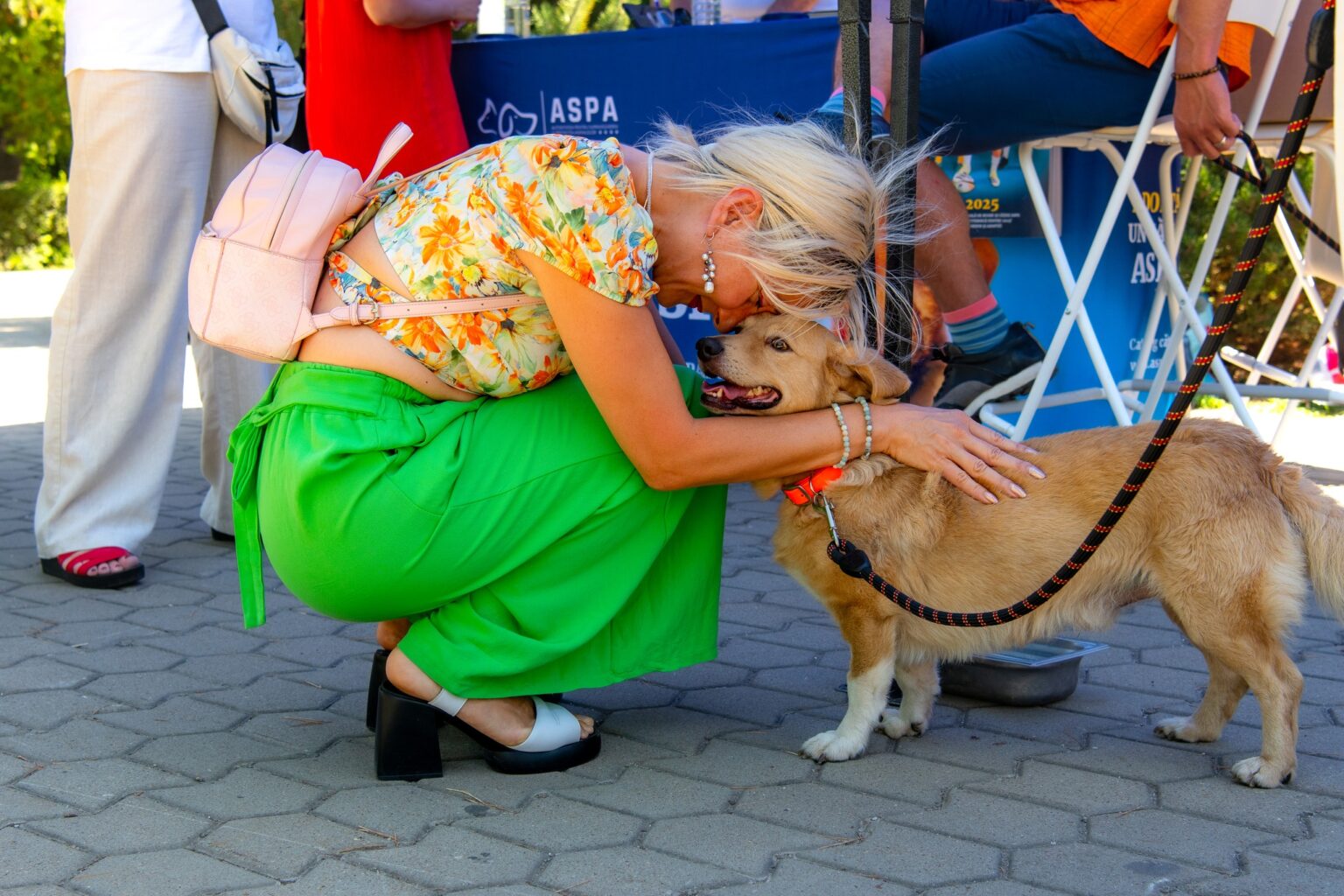 aspa invita bucurestenii sa devina familii temporare pentru cainii din adapost prin programul foster 695d520cbd980