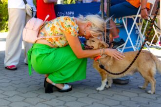 aspa invita bucurestenii sa devina familii temporare pentru cainii din adapost prin programul foster 695d520cbd980