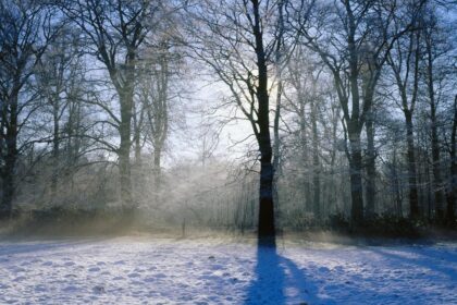 bucurestiul in pragul celei mai geroase nopti din sezon temperaturi de pana la minus 15 grade 6964b44f6f7fa