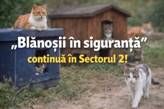 campania blanosii in siguranta continua in sectorul 2 697af80cbcc6e