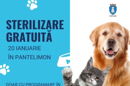campanie gratuita de sterilizare si microcipare pentru caini si pisici de rasa comuna in pantelimon 696a8de891e0d