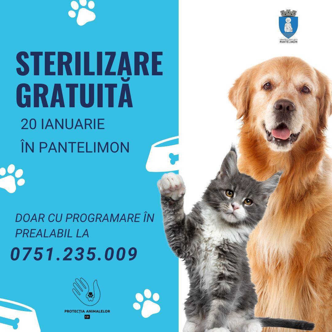 campanie gratuita de sterilizare si microcipare pentru caini si pisici de rasa comuna in pantelimon 696a8de891e0d