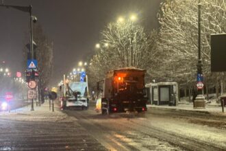 foto dl negoita anunta marea deszapezire prin sectorul 3 si ca echipele sunt pe teren pe internet mai multi bucuresteni spun ca n realitate nu prea au ajuns utilajele 6963a13cbe922