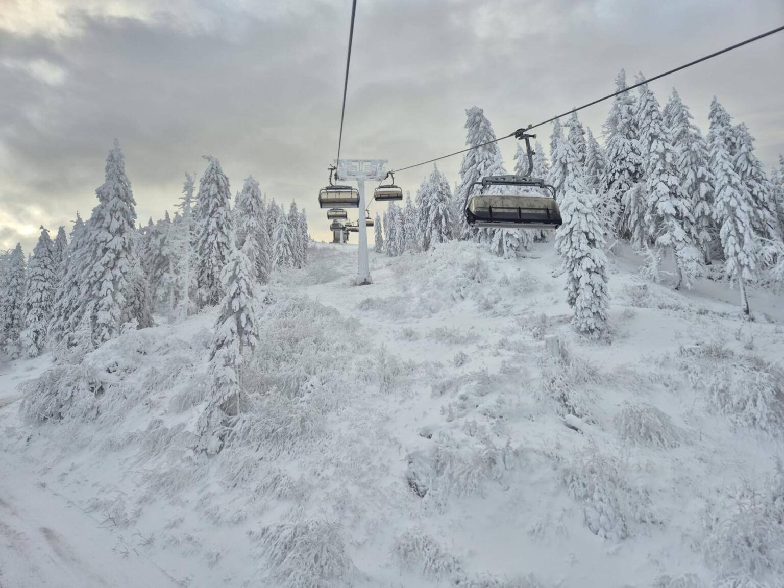 foto sezonul de schi s a deschis oficial in poiana brasov bucurestenii si nu numai sunt asteptati sa urce pe partiile lupului drumul rosu si bradul 6957ceb47c7e8