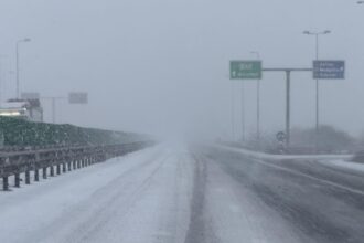 iad pe autostrada a2 bucuresti constanta mazga pe asfalt vizibilitate sub 50 m absolut nicio interventie 695fc593efdf0