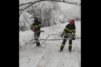 igsu aproape 4 700 de pompieri mobilizati zilnic intre 1 si 4 ianuarie peste 7 000 de interventii gestionate 695b9b7971a02