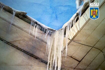 igsu avertizeaza turturii reprezinta un pericol real pentru pietoni 69679d858828e