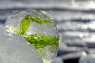 igsu recomanda oamenilor sa supravegheze sistemele de incalzire in contextul gerului anuntat vineri 695fe36eb2deb