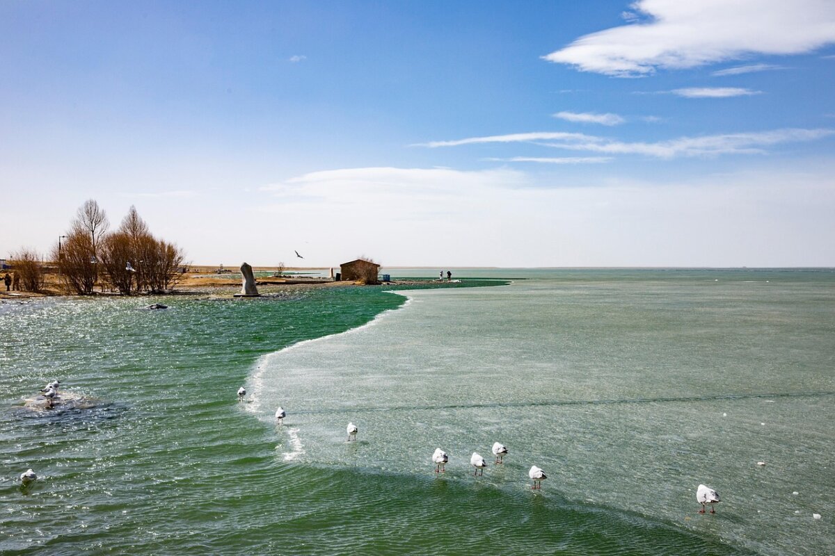 ilfov autoritatile locale politia si jandarmeria vor monitoriza si restrictiona accesul pe suprafetele de apa inghetate 696fdd1593472