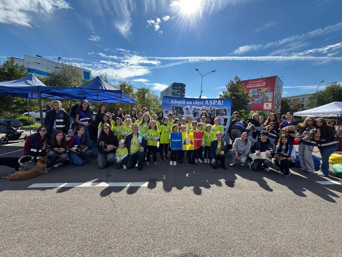 in 2025 adoptiile aspa au crescut cu 38 fata de 2024 695a0279523b7